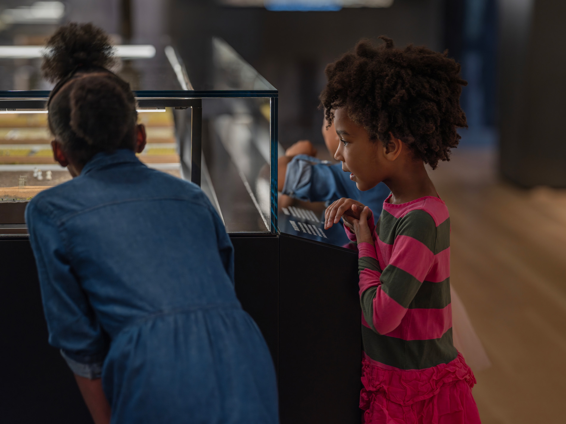 Two children looking at a museum exhibit